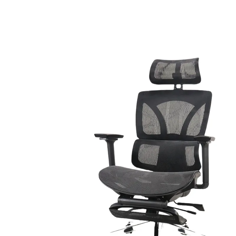 Ergonomic Office Chair for Rui - огляд і ціна Home Office Ergonomics