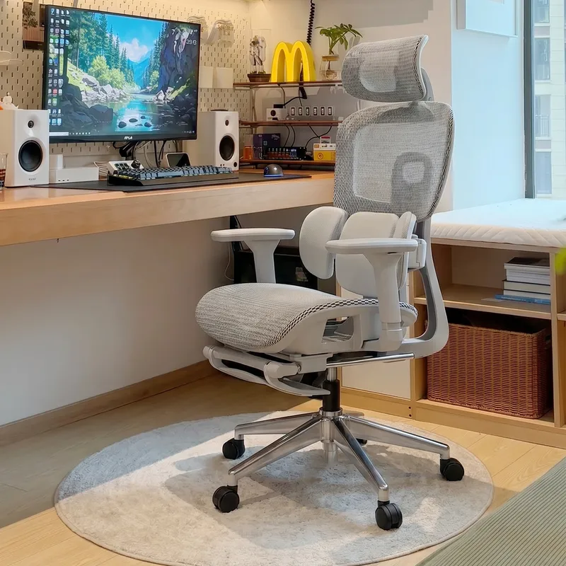 Ergonomic Office Chair with Lu - огляд і ціна Home Office Ergonomics