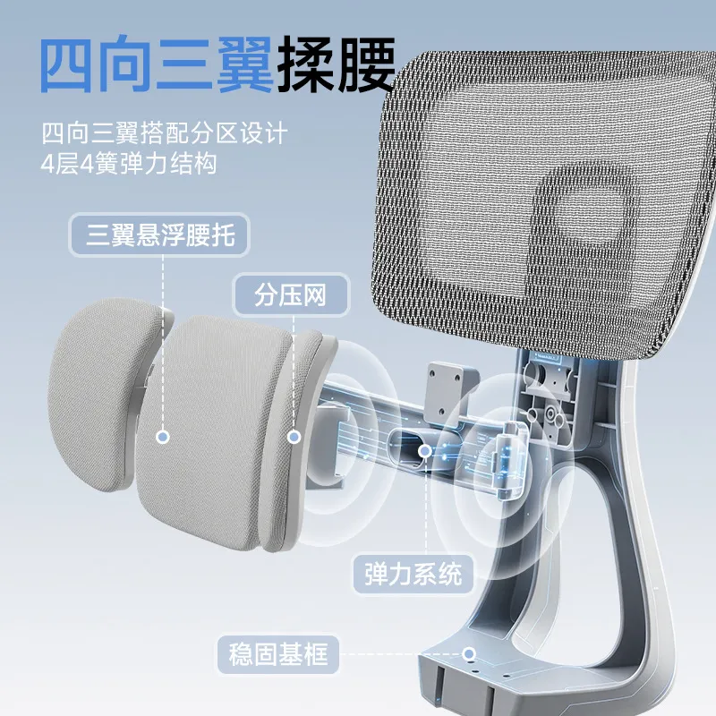 Ergonomic Office Chair with Lu - огляд і ціна Home Office Ergonomics