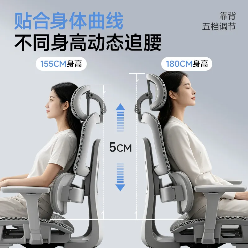 Ergonomic Office Chair with Lu - огляд і ціна Home Office Ergonomics