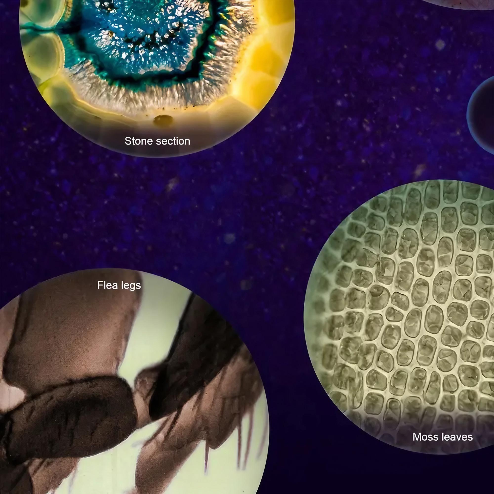 Kids Microscope Pocket Microsc - огляд і ціна Zoom Lighting Kit